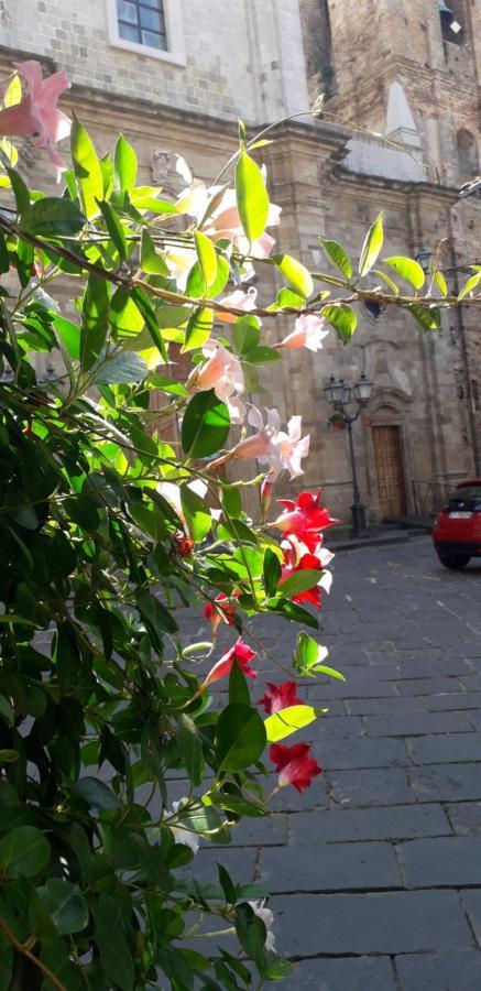 Nenet Bed & Breakfast Guglionesi Bagian luar foto